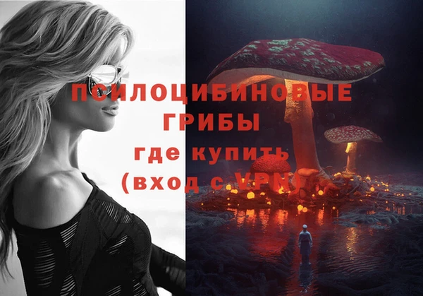 альфа пвп Куйбышев