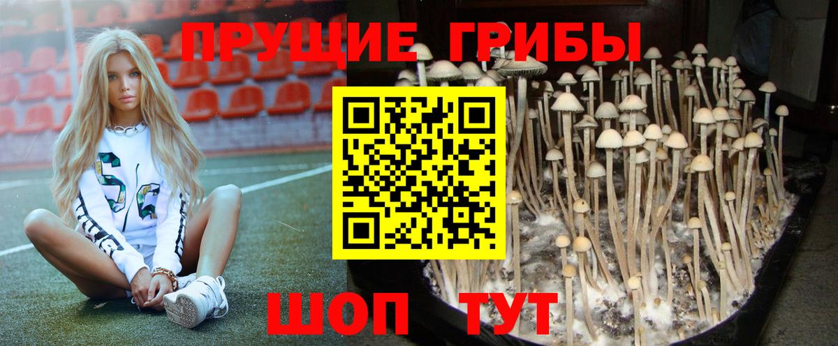 Галлюциногенные грибы MAGIC MUSHROOMS  Вход с VPN  Мелеуз 